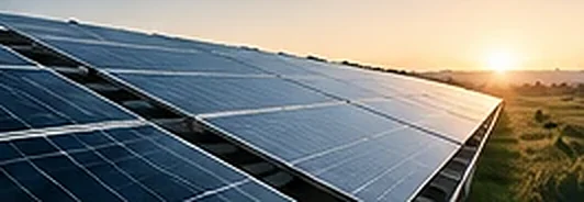 Rows of solar panels at sunrise over open grassland